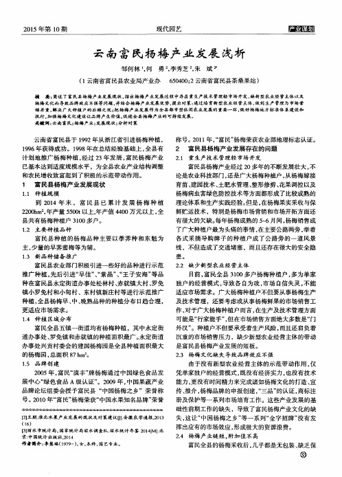 云南富民杨梅产业发展浅析