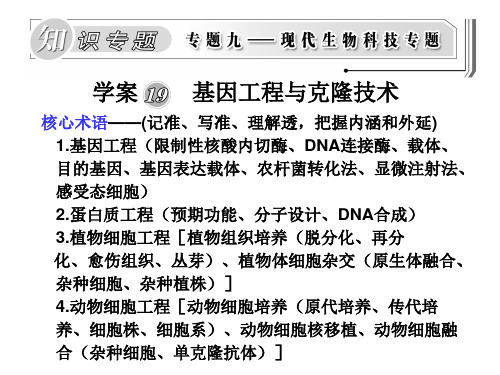 基因工程与克隆技术.pptx