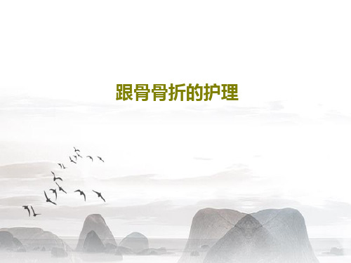 跟骨骨折的护理41页PPT