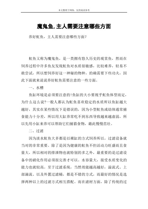 魔鬼鱼,主人需要注意哪些方面