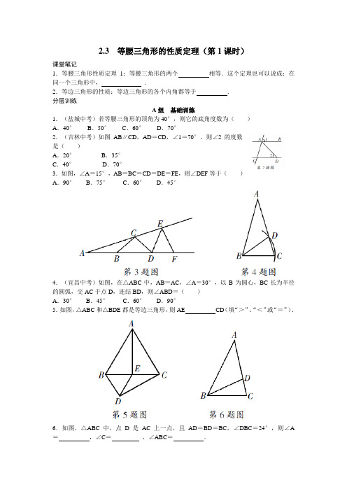 浙教八上数学2.3  等腰三角形的性质定理(第1课时)