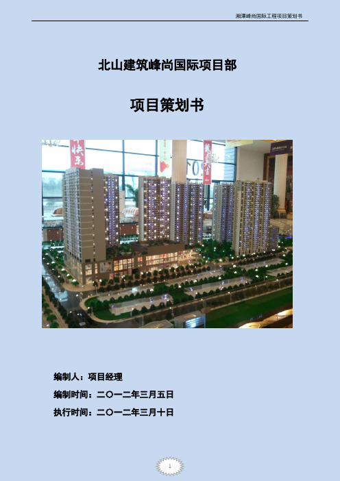 湘潭项目策划书