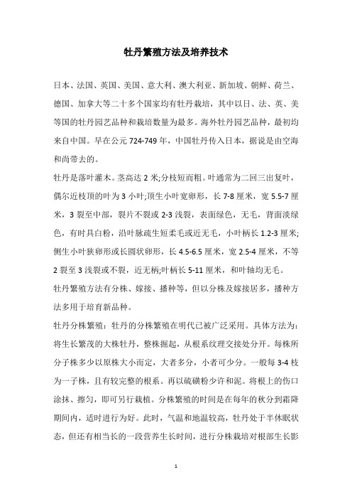 牡丹繁殖方法及培养技术