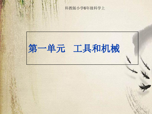 教科小学科学六上《1.1、使用工具》PPT课件(5)[精选]