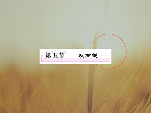 最新-2018届高三数学一轮复习 双曲线课件 新人教B版 精品 