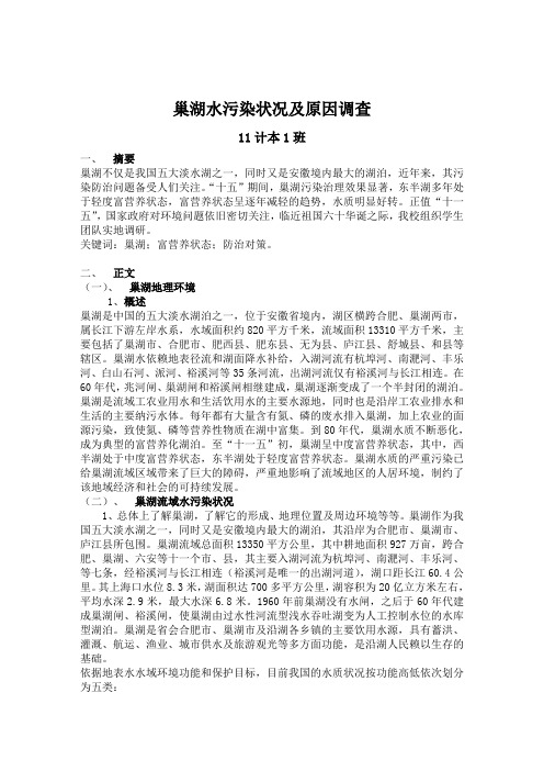 巢湖水污染状况及原因调查报告 精华版