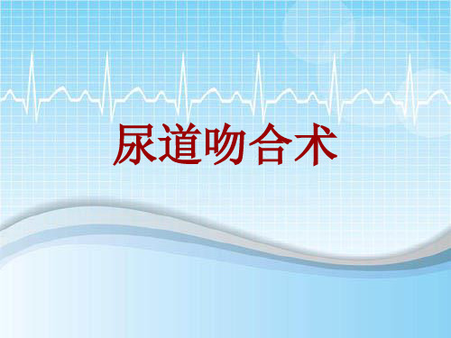手术讲解模板：尿道吻合术