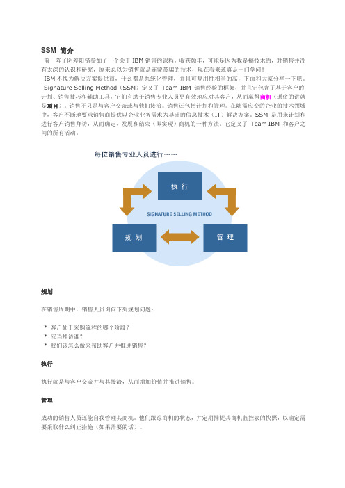 IBM销售手记--SSM介绍