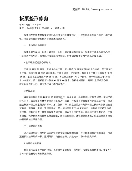 板栗整形修剪