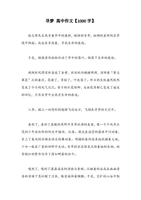 寻梦 高中作文【1000字】_1