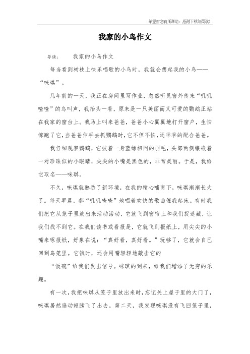 我家的小鸟作文