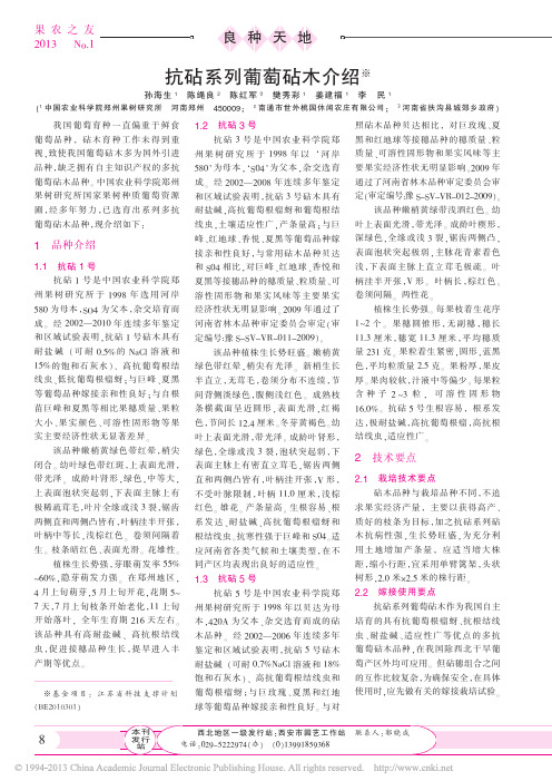 抗砧系列葡萄砧木介绍