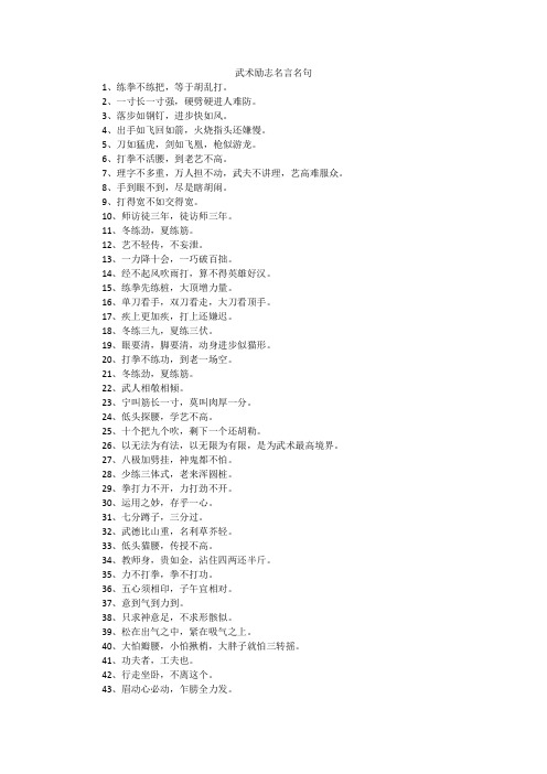 武术励志名言名句
