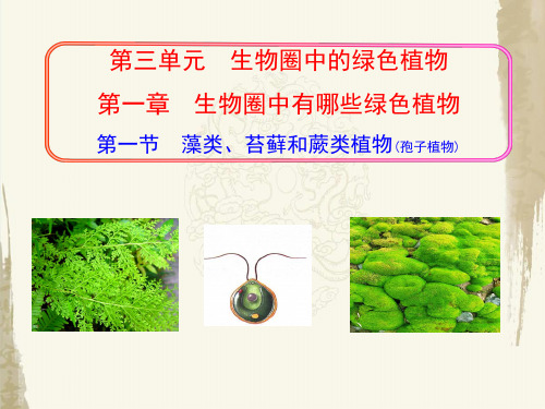 人教版生物七年级上册《第3单元第1章第1节》教学课件