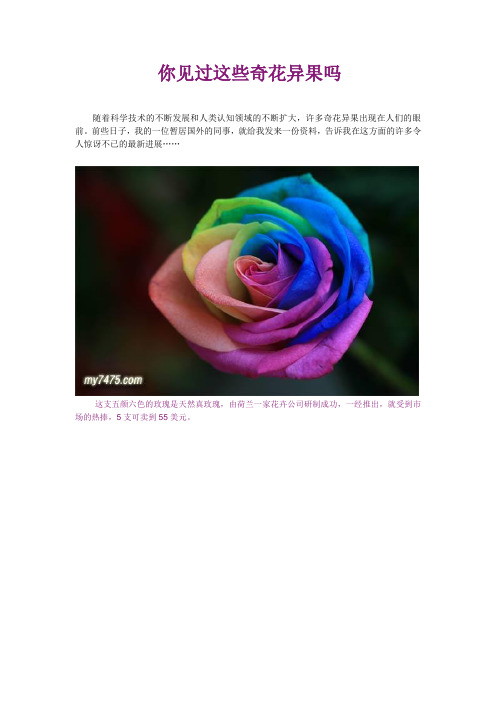 你见过这些奇花异果吗