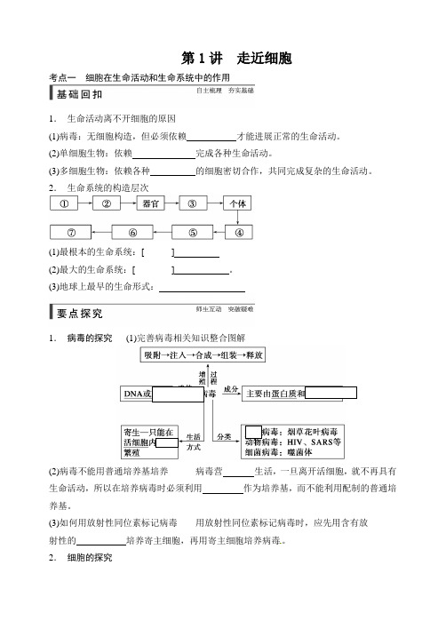 高中生物一轮复习第一讲走进细胞  学案