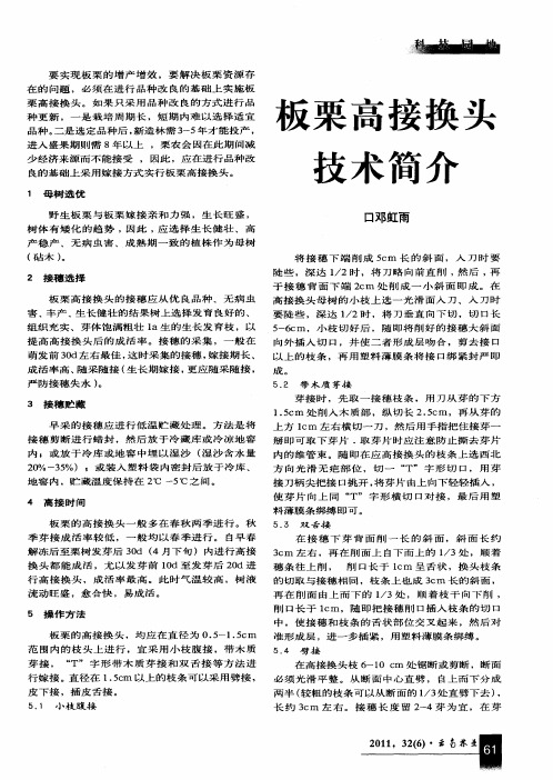 板栗高接换头技术简介