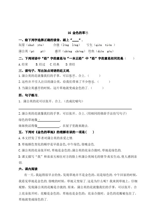 三年级上册语文16《金色的草地》课时练习(含答案)