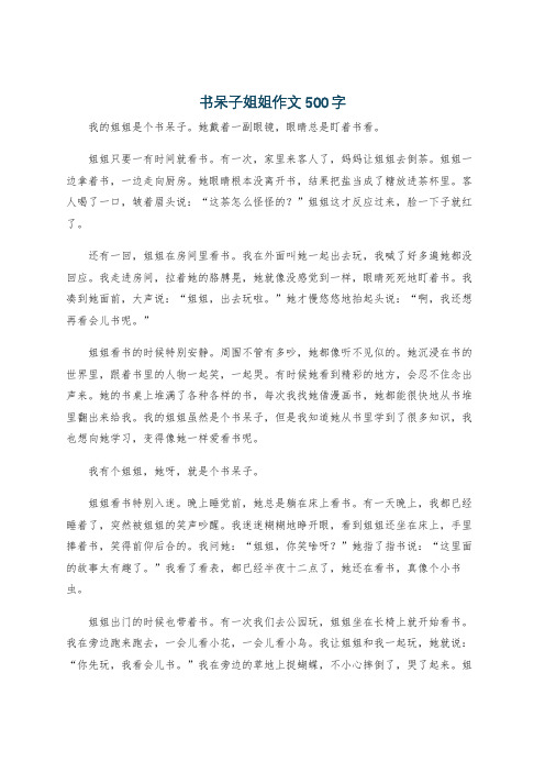 书呆子姐姐作文500字
