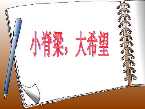 《小脊梁-大希望课件》