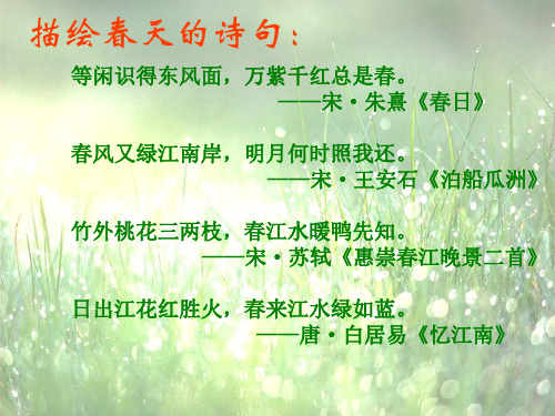 描绘春天的诗句.ppt