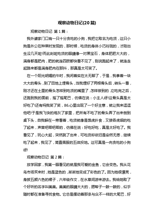 最新观察动物日记(20篇)