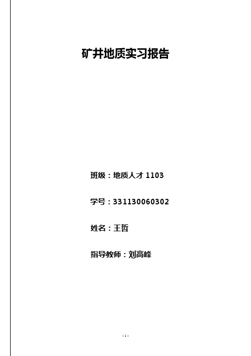 河南煤化鹤壁矿务局第八煤矿实习报告正改(1)