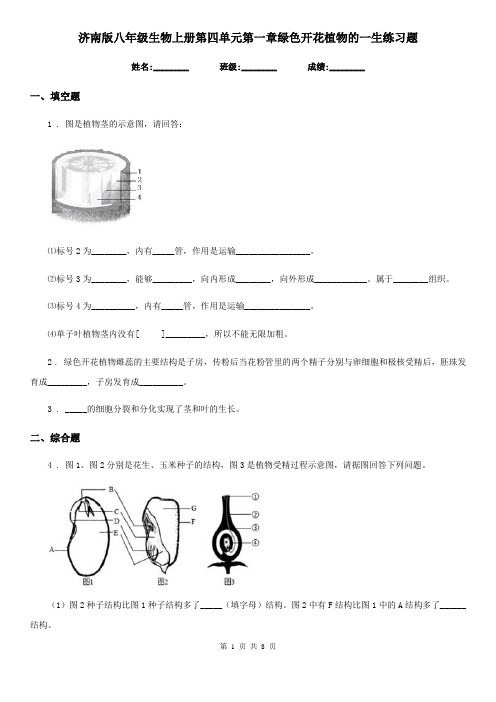 济南版八年级生物上册第四单元第一章绿色开花植物的一生练习题