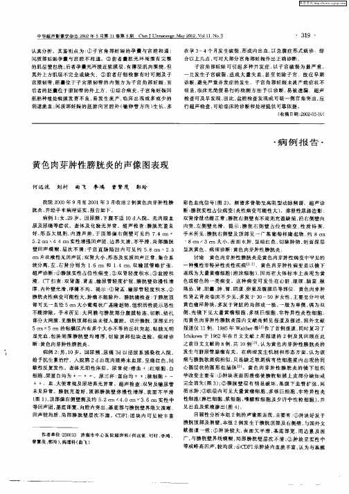 黄色肉芽肿性膀胱炎的超像图表现