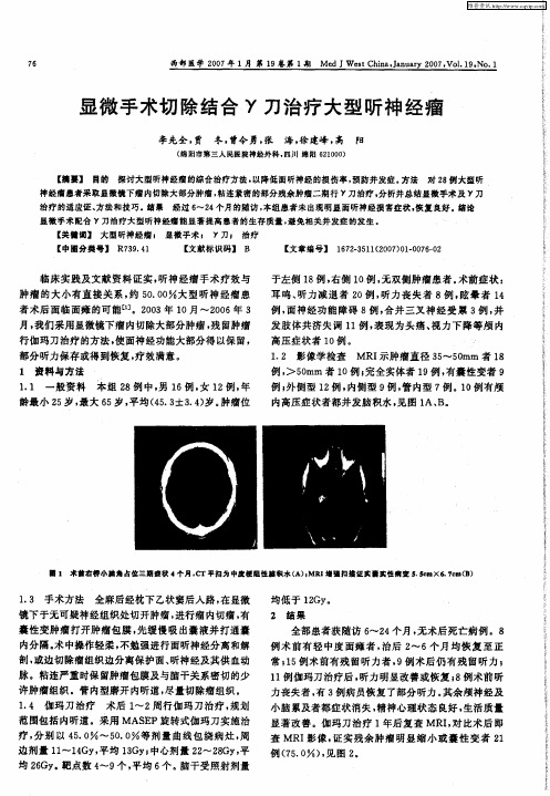 显微手术切除结合γ刀治疗大型听神经瘤