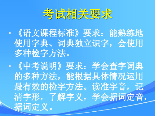 中考复习专题之查字典
