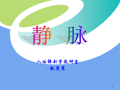 静脉
