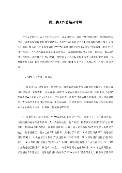 团工委工作总结及计划-通用