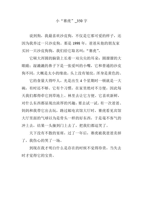 小“赛虎”_350字