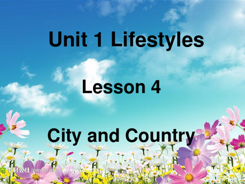 新版Unit 1 Lifestyles.ppt