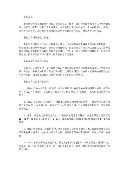 生活养生-鱼肚子大怎么回事