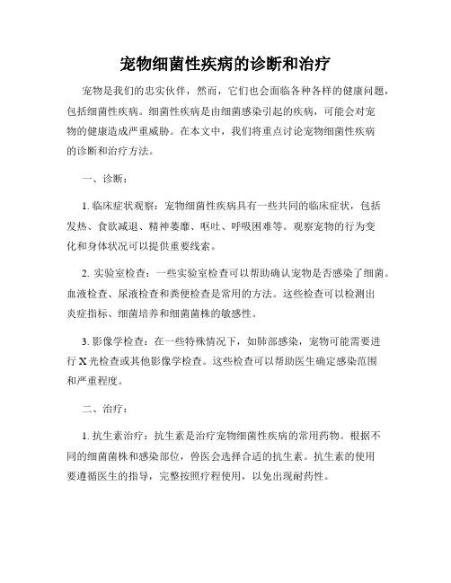 宠物细菌性疾病的诊断和治疗