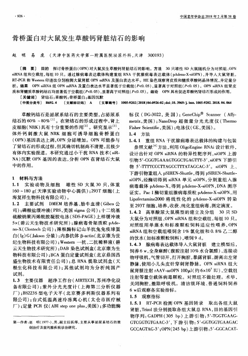 骨桥蛋白对大鼠发生草酸钙肾脏结石的影响
