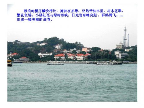 厦门实训报告