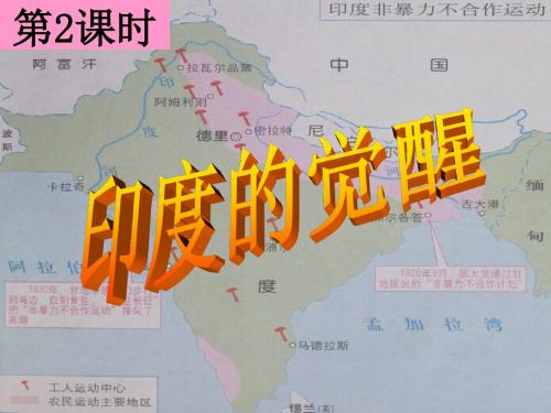 第二课时 印度的觉醒