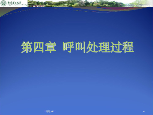 《呼叫处理过程》PPT课件