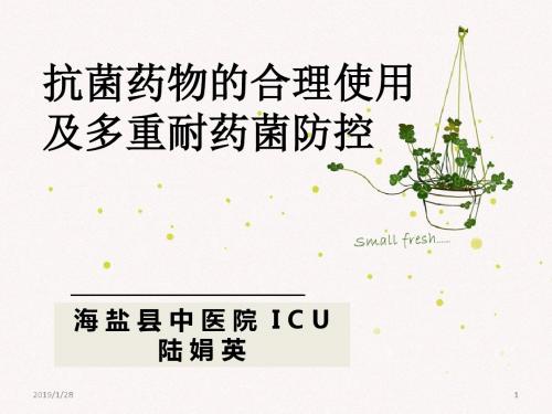 抗菌药物使用与多重耐药菌防控精讲