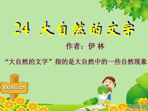 24大自然的文字