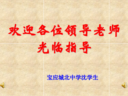 初中作文让你笔下的人物活起来——人物的外貌描写ppt