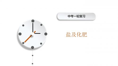 中考化学考点冲刺——盐及化肥(共42张PPT)