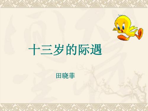 《十三岁的际遇》