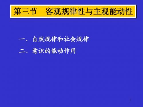 马克思基本原理第一章第三节客观规律性与主观能动性