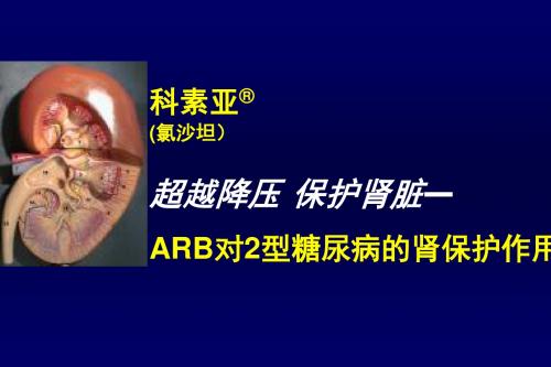 超越降压_保护肾脏—ARB的应用ppt课件
