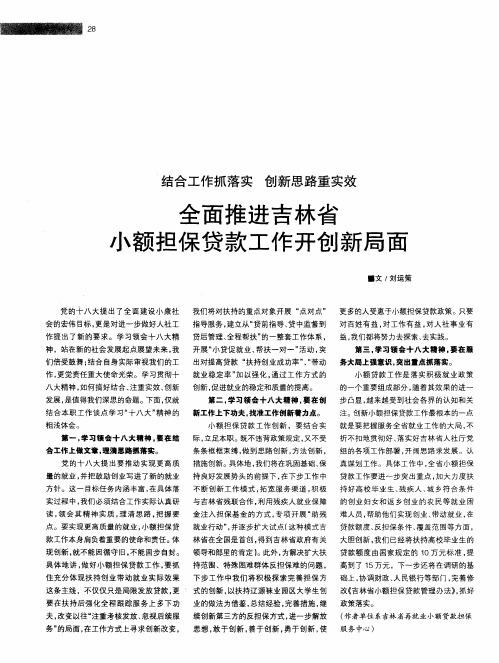 全面推进吉林省小额担保贷款工作开创新局面