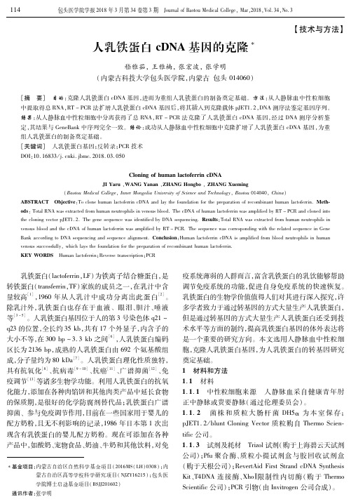 人乳铁蛋白cDNA基因的克隆